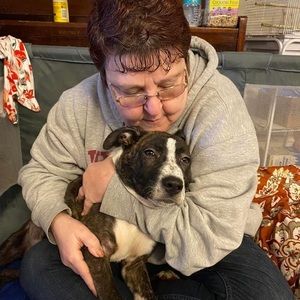 Meet your Posher, Donna